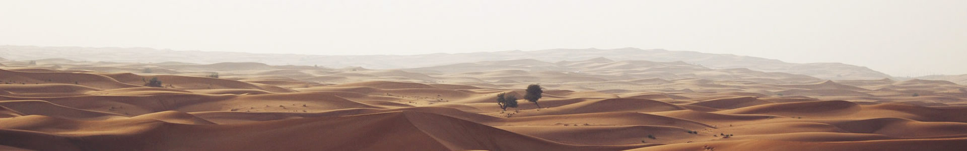 ൺ캣Ƽ޹˾